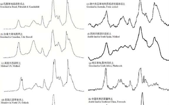 应用13C核磁共振技术研究土壤有机质化学结构进展