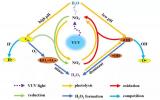 哈工大陈白杨团队：真空紫外<font color=red>辐照</font>过程中亚硝酸盐和过氧化氢生成情况研究