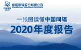 一张图读懂中国<font color=red>同辐</font>2020年度报告