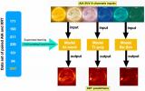 天文学家利用深度学习预测日冕软X射线辐射