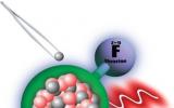 创造和研究放射性分子，推动核结构和基本对称性研究