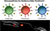 纳米粒子用于癌症诊断，放射性核素治疗和诊疗一体