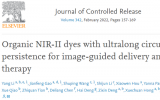 武汉大学肖玉玲副教授在可视化精准递送和靶向治疗取得新进展