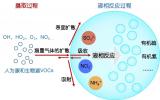 科学家揭示液相二次有机气溶胶的来源和形成机制