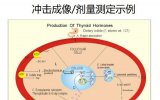  α粒子放射药物治疗的成像和剂量测定：通过观察黑盒改进放射性药物治疗